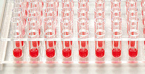  Topbanner_riax300.jpg