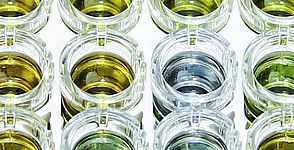  ELISA_banner.jpg