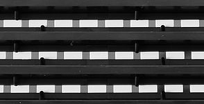  EUROLINE_Immunoblot_banner.jpg