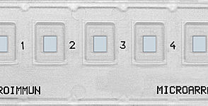  microARRAYmobile.jpg