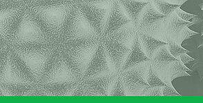  banner_allergy.jpg