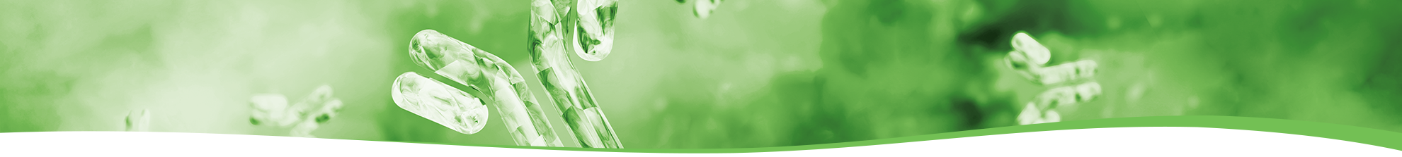head banner autoimmunity